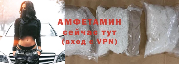 PSILOCYBIN Гусиноозёрск