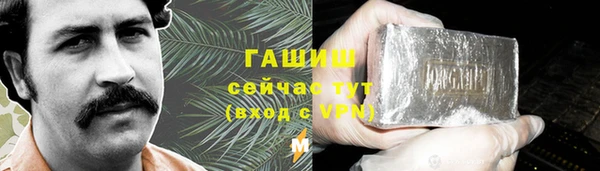 PSILOCYBIN Гусиноозёрск