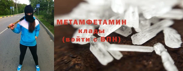 индика Гусь-Хрустальный