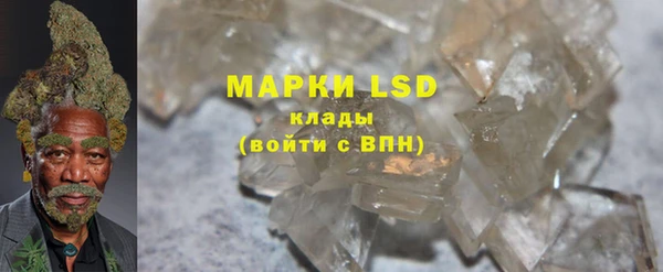 PSILOCYBIN Гусиноозёрск