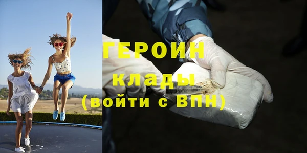 индика Гусь-Хрустальный