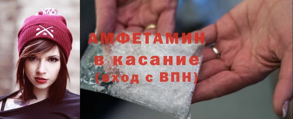 индика Гусь-Хрустальный