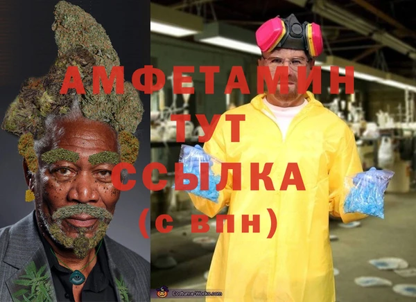 PSILOCYBIN Гусиноозёрск