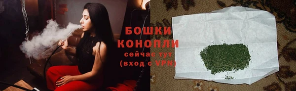PSILOCYBIN Гусиноозёрск