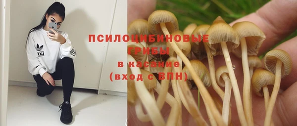 индика Гусь-Хрустальный