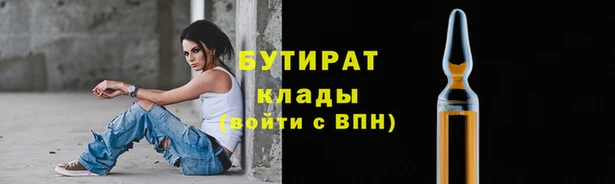 индика Гусь-Хрустальный