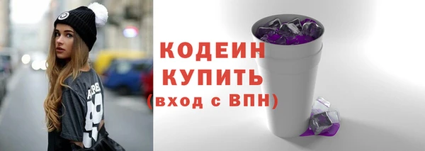 индика Гусь-Хрустальный