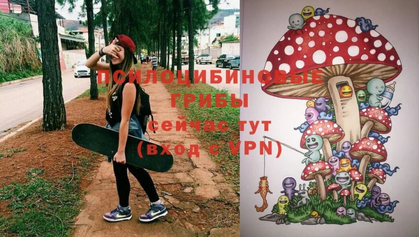 индика Гусь-Хрустальный