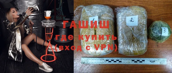 индика Гусь-Хрустальный