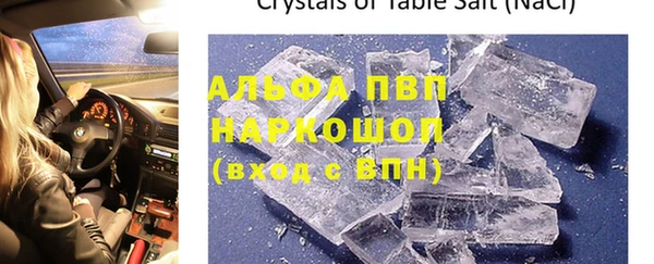 индика Гусь-Хрустальный