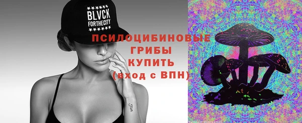 индика Гусь-Хрустальный
