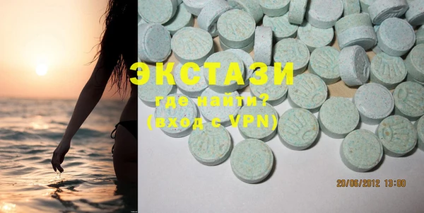 индика Гусь-Хрустальный