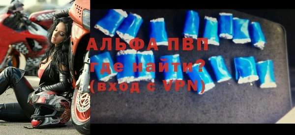 индика Гусь-Хрустальный