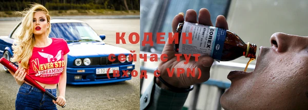 индика Гусь-Хрустальный