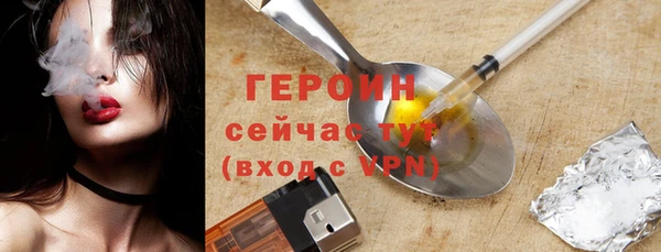 индика Гусь-Хрустальный