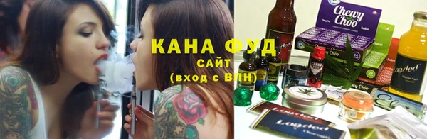 индика Гусь-Хрустальный